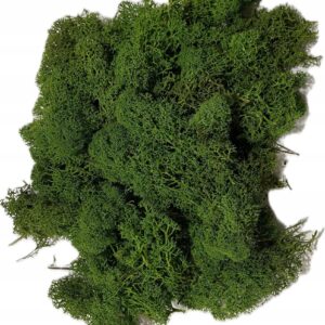 MECH Ozdobny Florystyczny 100g Ciemnozielony Dekoracyjny