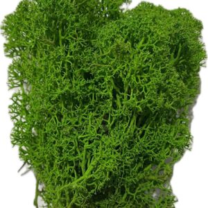 MECH Ozdobny Florystyczny 100g Jasnozielony Dekoracyjny