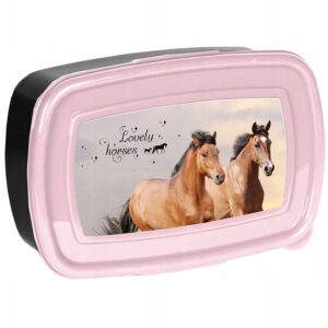 ŚNIADANIÓWKA PASO HORSES konie